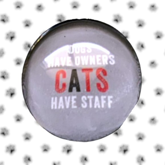 Fridge Domed Glass Magnet FRINGE 6 Piece Set CAT LOVE AND APPRECIATION - Picture 7 of 11
